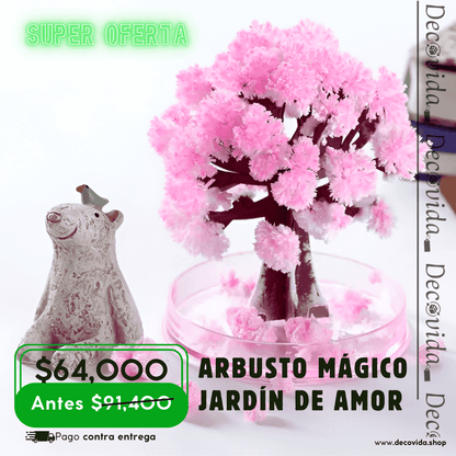 ARBUSTO MÁGICO JARDÍN DE AMOR